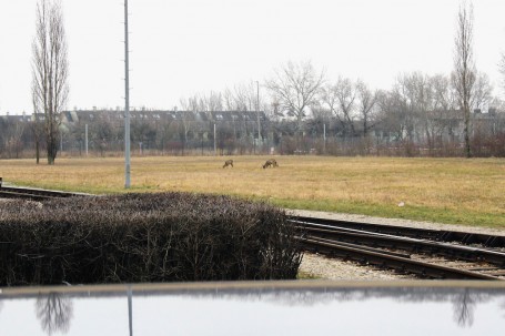 Neben der Werksbahn 