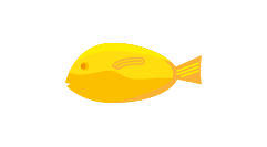 Fisch